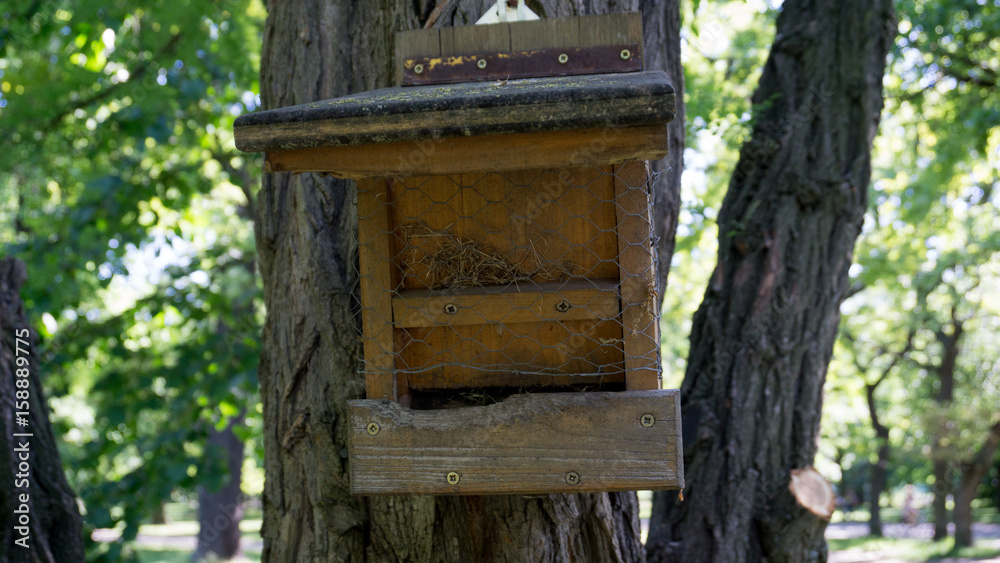 Bird House