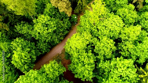 Forrest in Finland 1