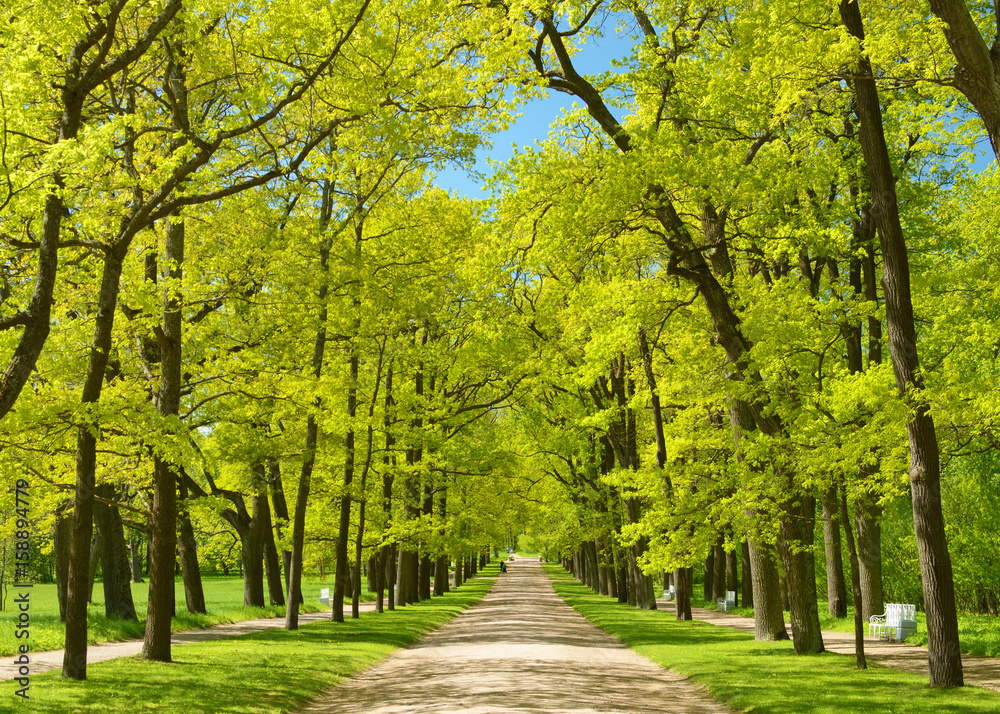 The natural landscape in the spring. The natural landscape in the spring.
