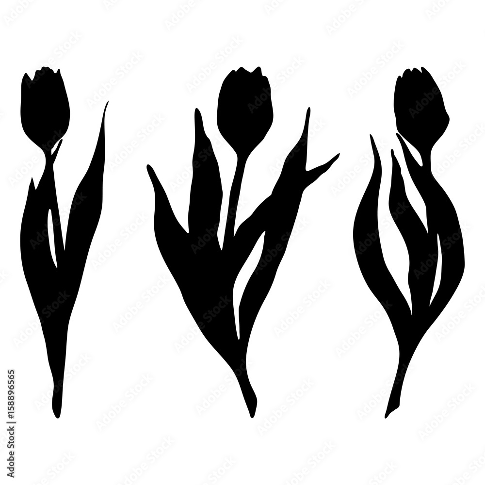 Fototapeta premium Monochrome black tulip spring flower silhouette set isolated vector