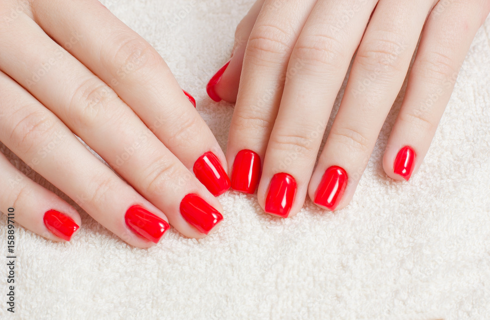 Manicure - Beauty treatment photo of nice manicured woman fingernails with red nail polish. Manicure - Beauty treatment photo of nice manicured woman fingernails with red nail polish.
