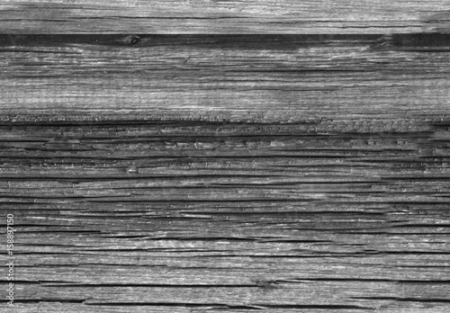 Old grey wood background. Grunge texture. Seamless pattern. Oak texture. sharkskin wood texture close up horisontal