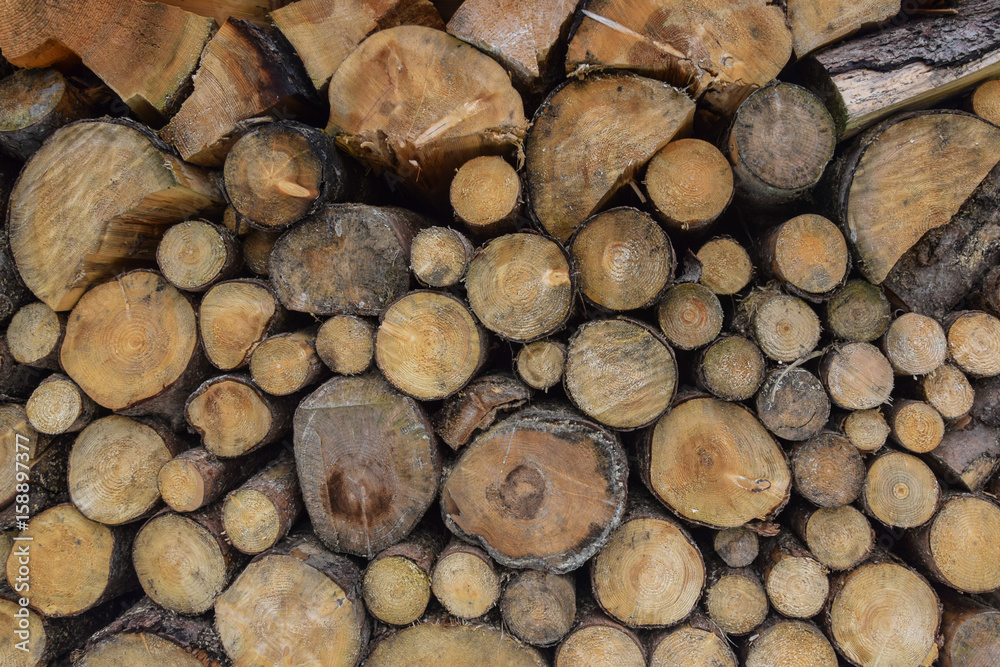 stack of wooden logs filling the image