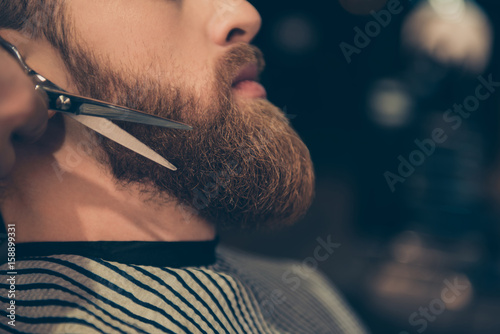 Beard styling and cut, barber shop concept. Close up cropped profile photo of a styling of a red beard. So trendy and stylish!