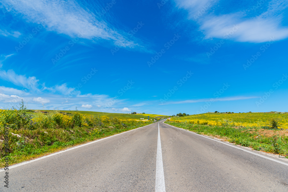 Country road on a sunny day in springtime