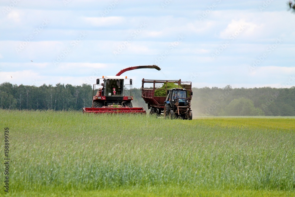 Fototapeta premium harvester collects the crop, next to tractor rides