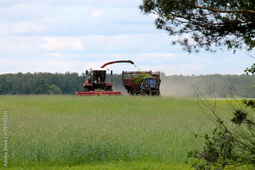 Fototapeta premium tractor rides around the harvester, the harvester collects the crop