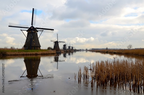 Historical windmills on the river bank with rushes in front of the photo. Typical Dutch autumn scenery with cloudy sky. An UNESCO World heritage site. Dramatic scenery.