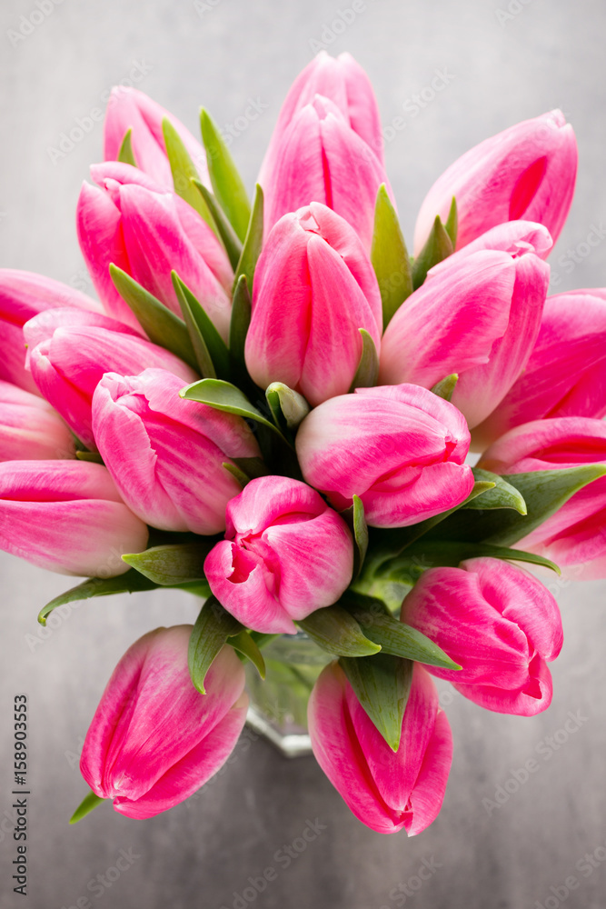 More tulip on the grey background. More tulip on the grey background.