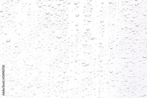 Abstract water droplets isolated background with white background. photo