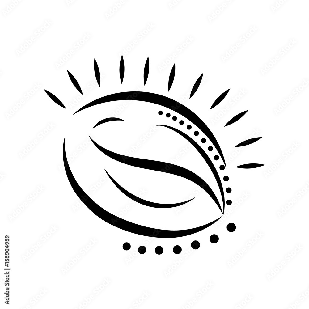 Vector stylish bean coffee Vector stylish bean coffee