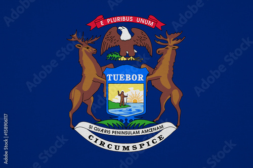 Michigan flag with fabric texture
