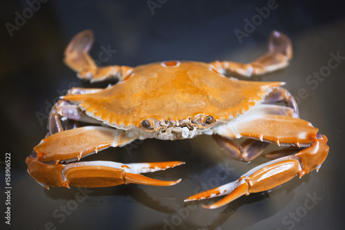 Sale of crabs in the markets of India