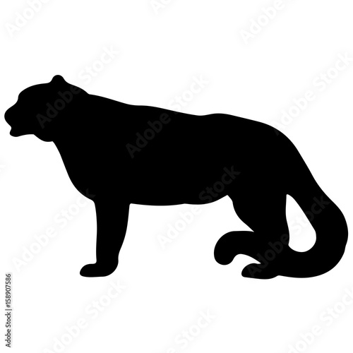 Vector silhouette of a black panther