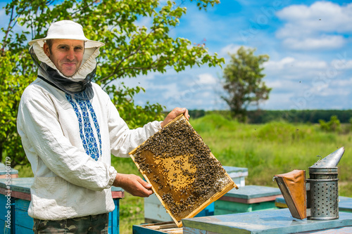 Beekeeper is working with bees and beehives on the apiary. Bees on honeycombs