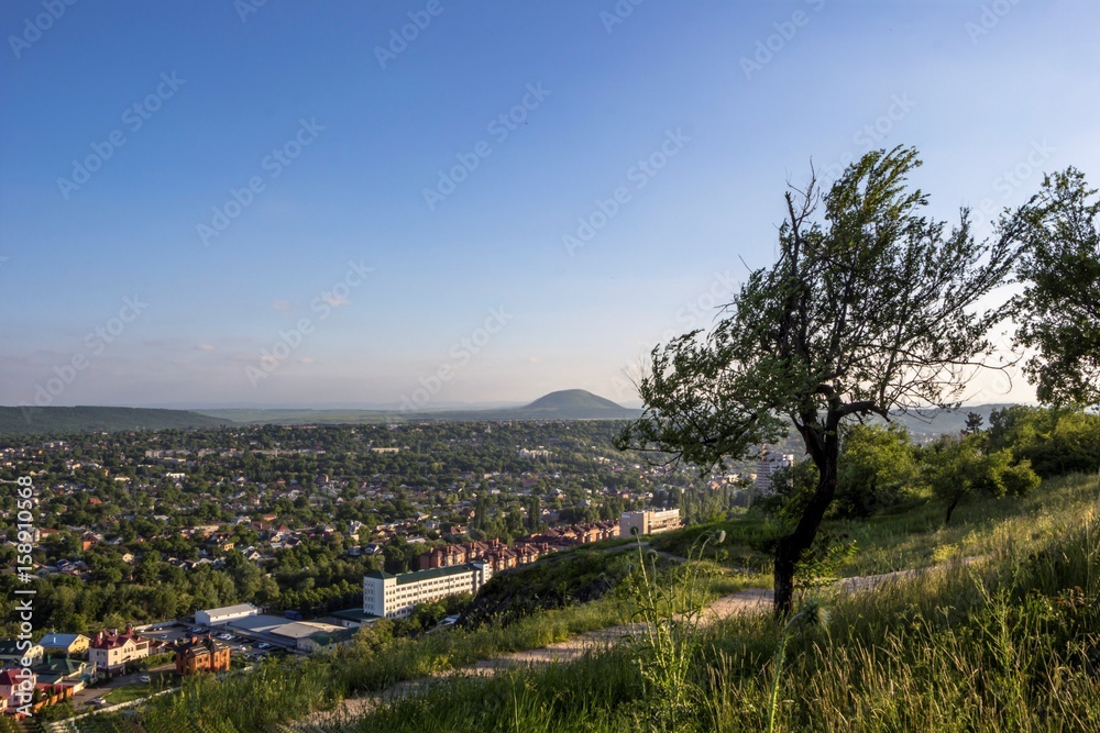 Городской пейзаж, Зеленые деревья на живописном склоне, красивая панорама на город с верху, солнечная погода, лето