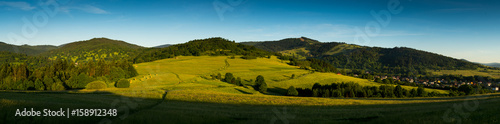 Colorful panoramic summer landscape in mountains with green grass, trees and forest hills photo