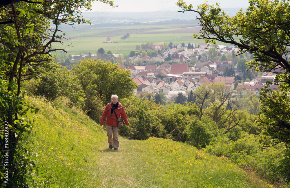 Fototapeta premium eine frau wandert auf einem naturweg zum petersberg bei gau-odernheim