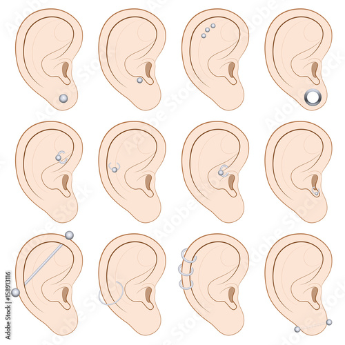 Ear piercings chart - twelve different illustrated examples on white background.