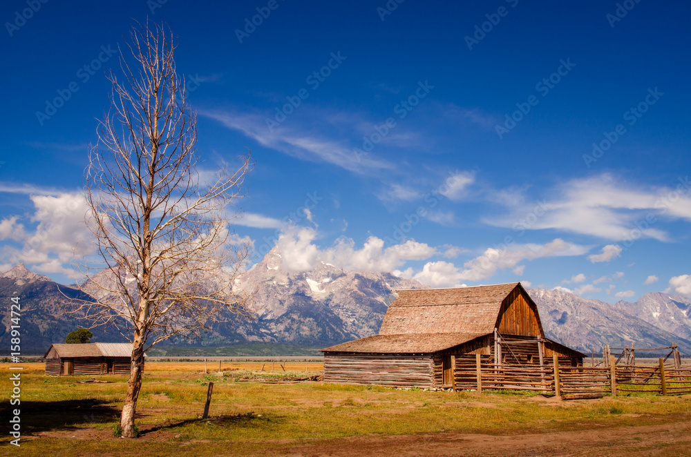 Fototapeta premium Abandoned barn on Mormon Row in Grand Teton NP, USA