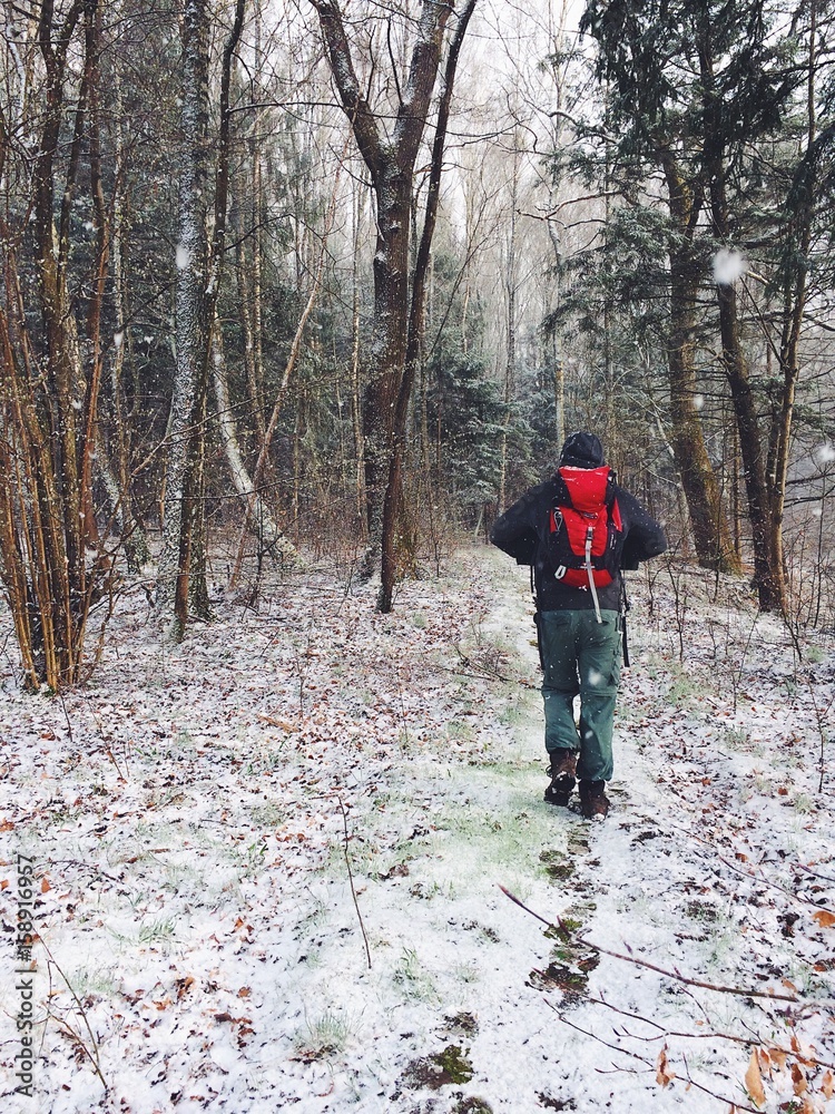 A man with a backpack walks through the forest