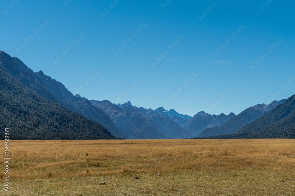 Fiordland National Park, New Zealand - March 16, 2017: The yellow dry flat lands of Eglinton Flats are a valley among tall dark mountain ranges under blue sky. Forests on slopes.