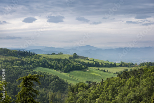Summer Hillside in Bologna, Italy