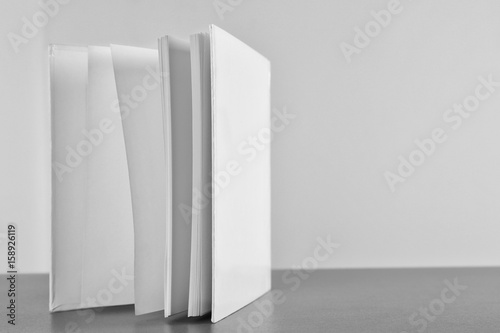 Opened book with blank pages on light background