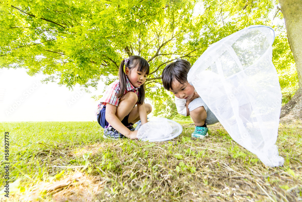 虫取り網で虫を捕まえる子供2人 Stock Photo Adobe Stock