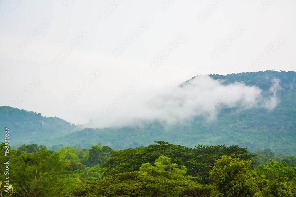 the landscape of  Mountain and mist