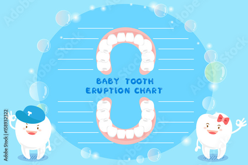cartoon baby tooth eruption chart
