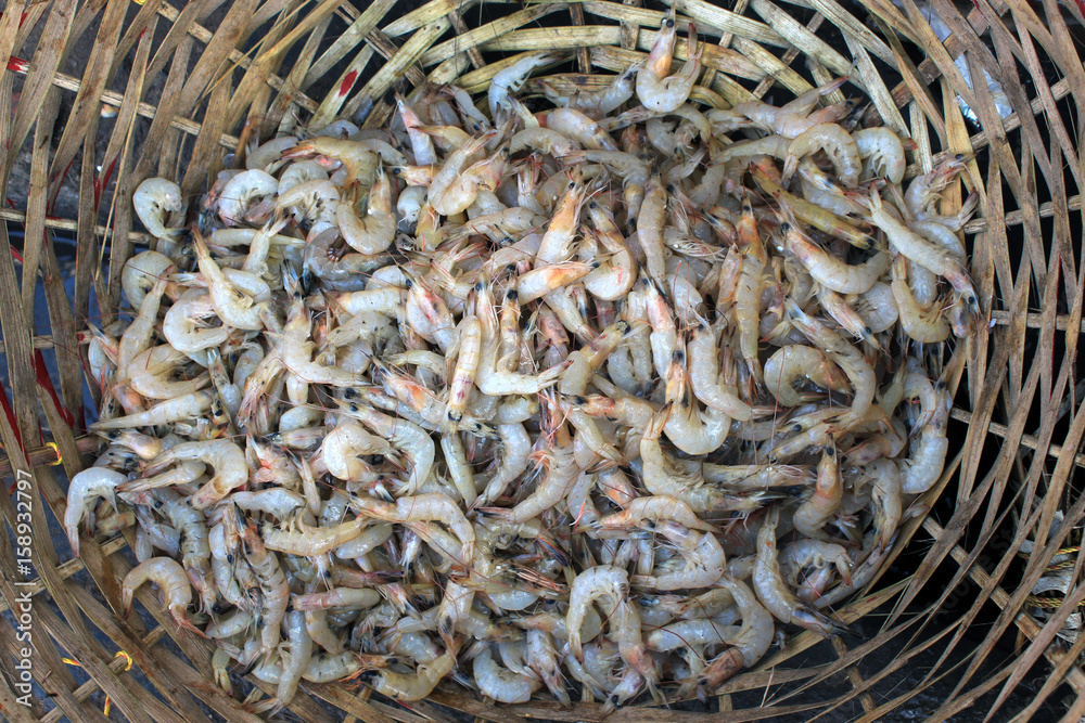Tiger shrimp are at fish market.