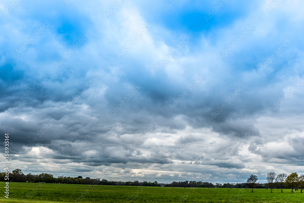 Green landscape, blue skies, Phoenix Park , Dublin, Ireland Green landscape, blue skies, Phoenix Park , Dublin, Ireland