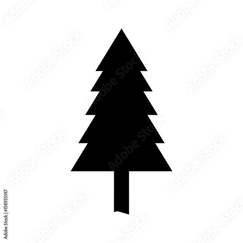 silhouette pine tree natural forest botanical vector illustration