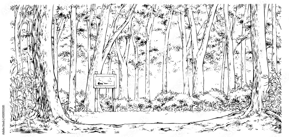 漫画風ペン画イラスト 森 Stock Illustration Adobe Stock