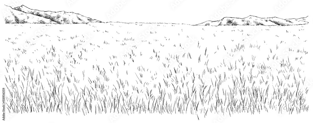 漫画風ペン画イラスト 草原 Stock Illustration Adobe Stock