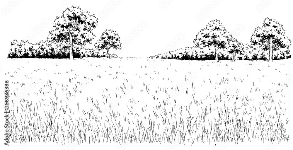 漫画風ペン画イラスト 草原 Stock イラスト Adobe Stock 漫画風ペン画イラスト 草原 Stock イラスト Adobe Stock