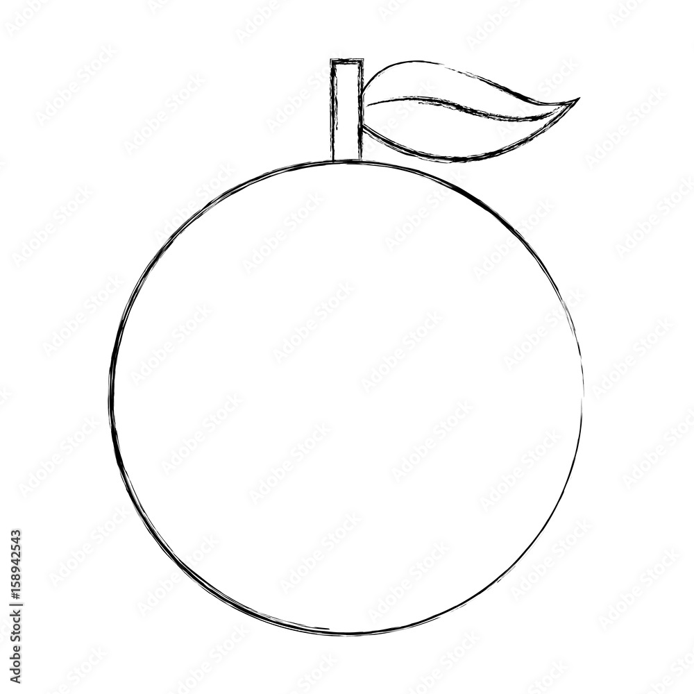 orange fresh fruit isolated icon vector illustration design orange fresh fruit isolated icon vector illustration design
