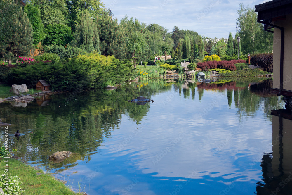 Obraz premium A lake in the middle of a green garden and a forest