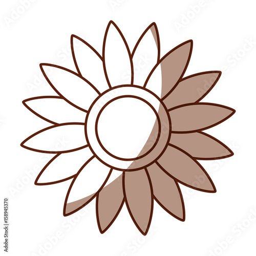 beautifull sunflower isolated icon vector illustration design