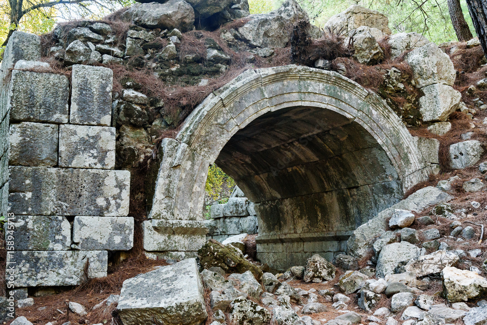 Fototapeta premium The Theater. Ruins of ancient city Olympos in Lycia. Turkey