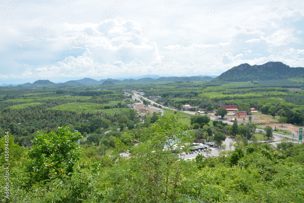 Obraz premium The view