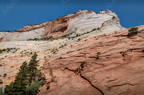 Red Sandstone Formation in Zion National Park
