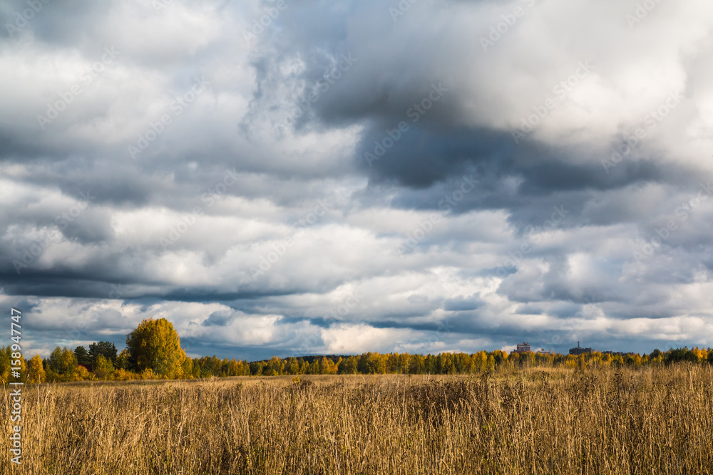 Fototapeta premium The sky and clouds