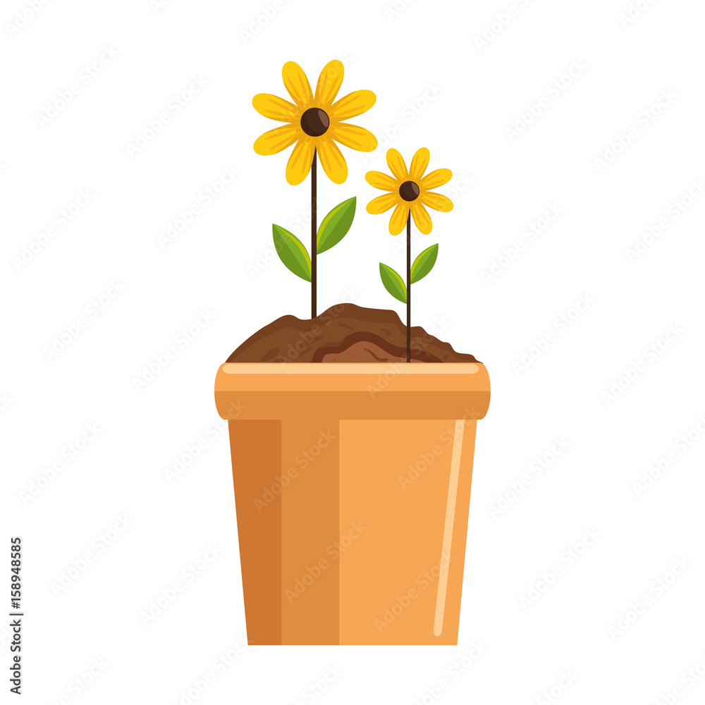beautiful flowers in a pot icon over white background colorful design vector illustration