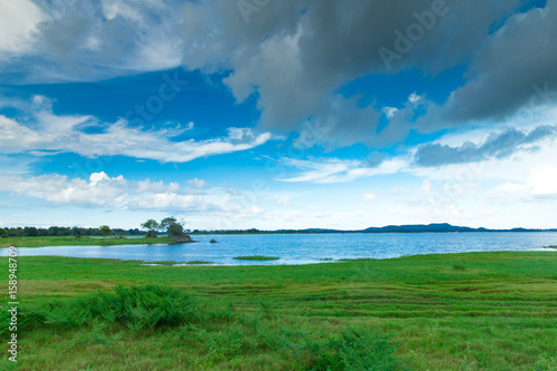 Sri Lanka Lake  Sri lanka landscape  Trees on water  Trees on lake