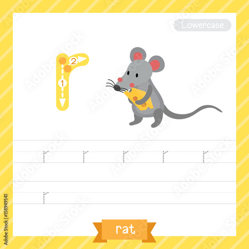 Letter R lowercase tracing practice worksheet with rat for kids learning to write. Vector Illustration.