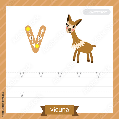 Letter V lowercase tracing practice worksheet with vicuna for kids learning to write. Vector Illustration.