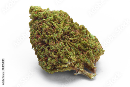 Close up of blueberry cheese medical marijuana strain on white background