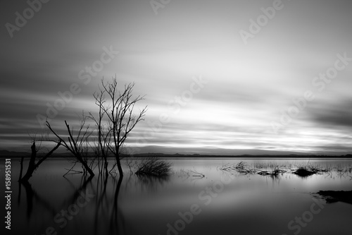 Long exposure photo of a lake at dusk, with trees and branches coming out of still water, and a beautiful sky with moving clouds